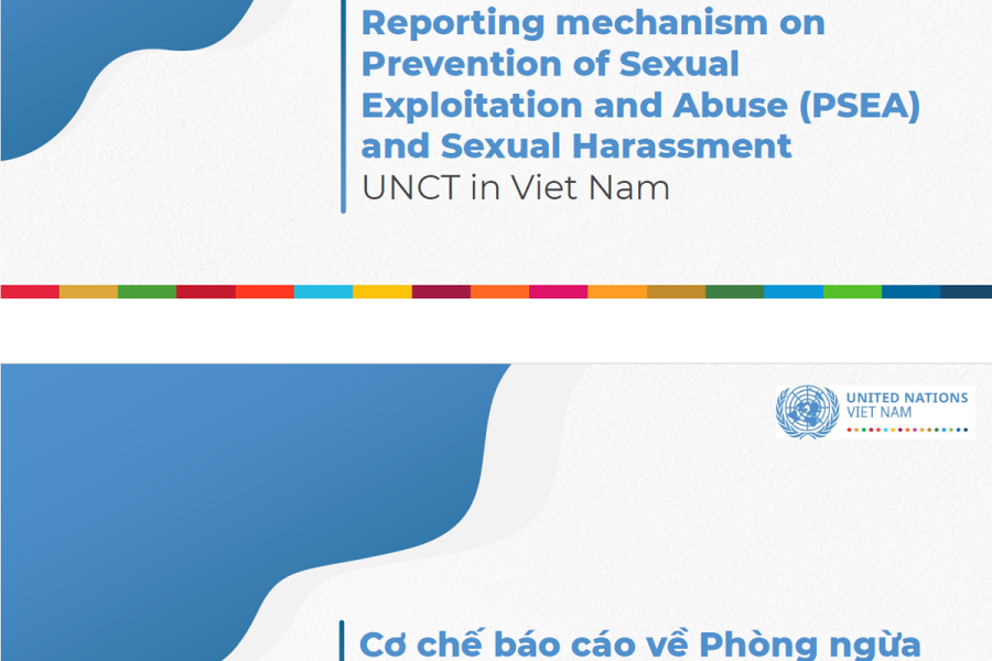 Reporting mechanism on Prevention of Sexual Exploitation and Abuse ...