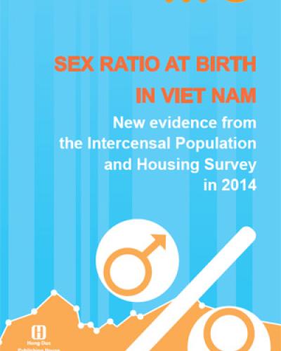 Sex Ratio At Birth In Viet Nam New Evidence From The Intercensal 