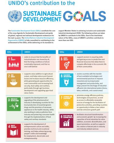 UNIDO’s contribution to the SDGs | United Nations in Viet Nam