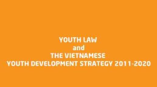 cover_youth_law